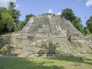 Wall Mural - Lamanai Temple in Belize