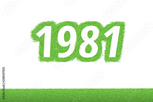 Jahr 1981 - weiße Zahl 1981 mit frischen gewachsenen grünen Grashalmen Symbol Tableau sur Toile
