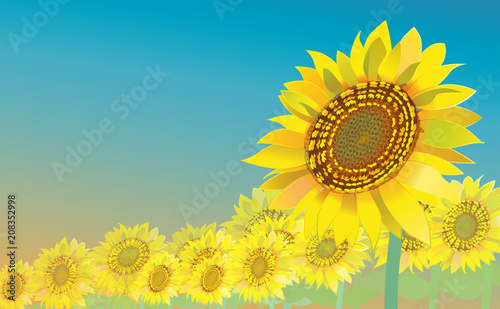 ひまわり畑 Stock イラスト Adobe Stock