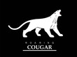 Fearless cougar. Roaring puma. Roaring jaguar. Elegant white panther.