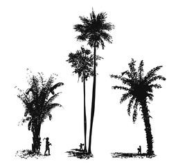 Palm Trees #vector #isolated - Palmen