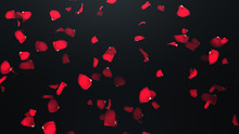 3D Render Flying Petals Of Roses With On An Black Background