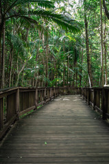  nature walk