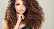 Brunette  girl with long  and   shiny curly  hair .  Beautiful  model woman  with wavy hairstyle
