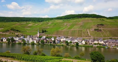 Canvas Print - drone aerial video of the village Merl on the riverside Mosel and Vineyards Landscape Germany 