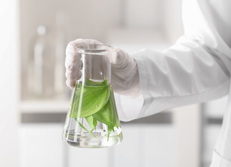 lab worker holding flask with leaves on blurred background, closeup