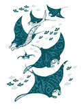 Fototapeta Konie - Manta ray and fish in the sea , stylized vector illustration