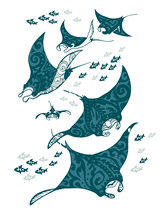 Manta Ray And Fish In The Sea , Stylized Vector Illustration