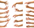 Leinwandbild Motiv Clipping path of multiple male hand gesture isolated on white background. Isolation of hands gesturing or symbol on white background.