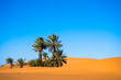 Landscape with palm trees in a desert with sand dunes and blue sky