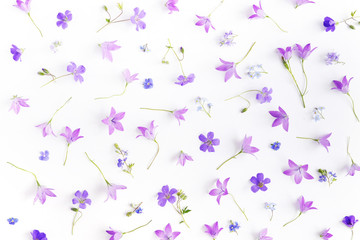 Wall Mural - Creative flat layout pattern of wildflowers,  top view.