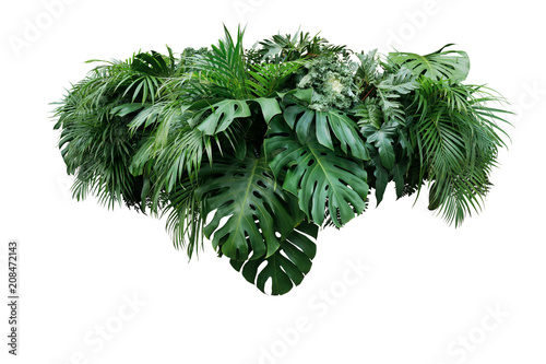 Cuadros en Lienzo Tropical leaves foliage plant jungle bush floral arrangement nature backdrop isolated on white background, clipping path included