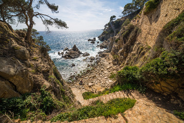 Wall Mural - Exotic coastline in Spain, Costa Brava