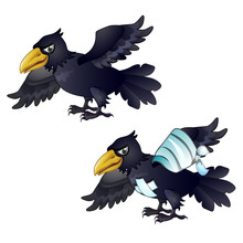 Healthy and diseased crow isolated on white background. Vector cartoon close-up illustration.