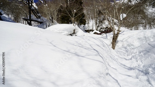 雪の道の向こうに戸隠神社奥社の屋根が見える Stock Photo Adobe Stock