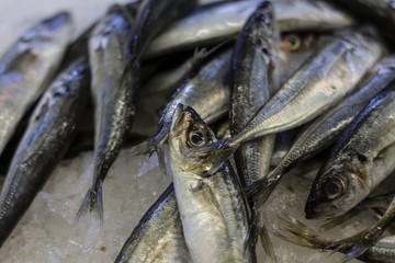 Fresh fish at market in Lisbon