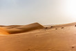 © gdefilip - The dunes of the Wahiba Sands desert in Oman at sunset during a typical summer sand storm - 17