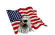 american eagle in sunglasses on american flag background