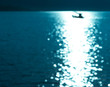 blured light Blue sea sky background
