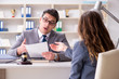 © Elnur - Lawyer discussing legal case with client