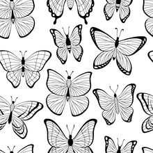 Butterfly Graphic Black White Seamless Pattern Background Sketch Illustration Vector