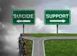 Suicide and support