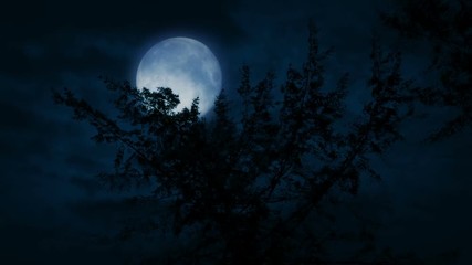 large moon behind tree top at night