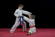 © blicsejo - Children are training karate blows