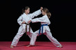 © blicsejo - Children are training karate blows