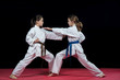 © blicsejo - Children are training karate blows