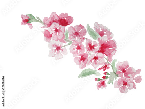 Foto-Schiebegardine Komplettsystem - cherry flower watercolor illustration isolated (von Anna)