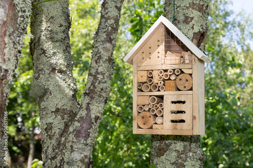 Fotomural Insect house in a summer garden Hotel for insects
