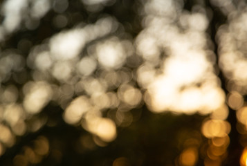 Blurred background with bokeh design