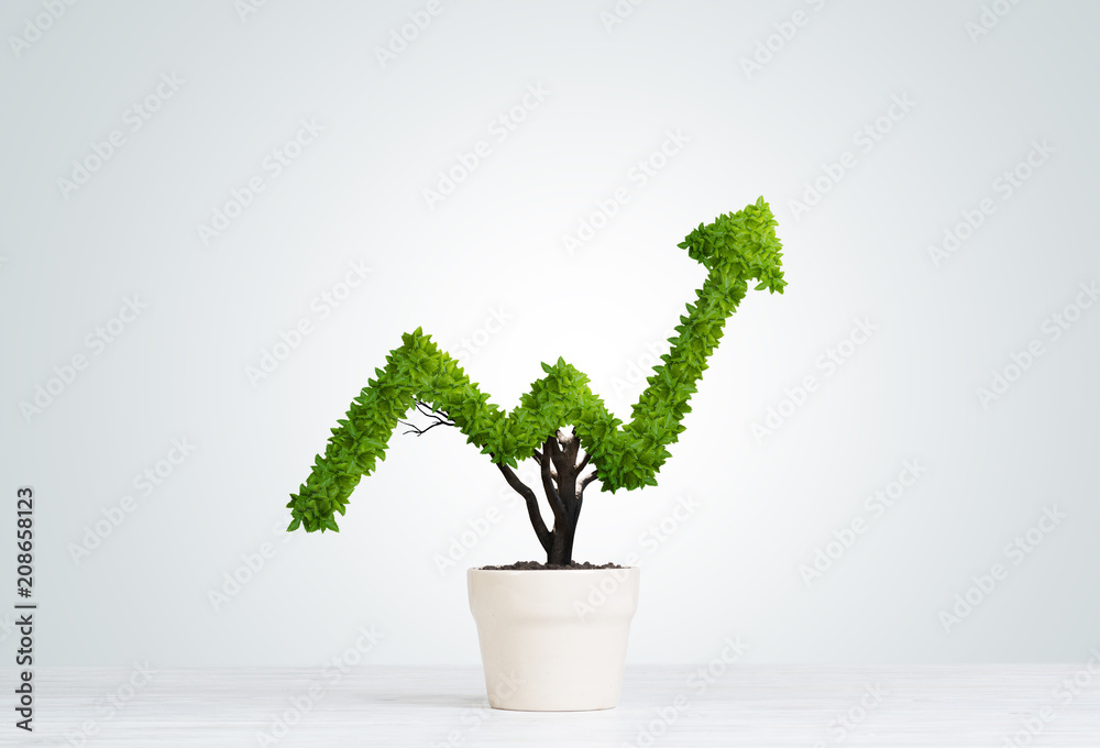 Concept of investment income and growth with tree in pot - obrazy, fototapety, plakaty 