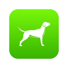 Wall Mural - Dog icon digital green for any design isolated on white vector illustration