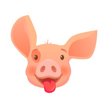 Head Of Pink Pig