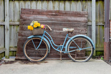 Shabby Blue Vintage Bike On Barnwood Background