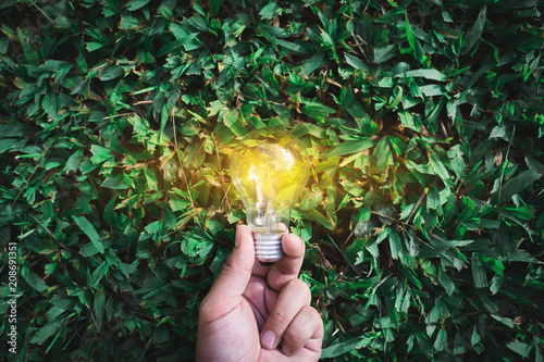Fotografía green energy concept energy sources sustainable Ecology Elements
