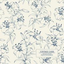 Lily Flower Seamless Pattern With White Lilies Over White Background. Floral Background In Vintage Style.
