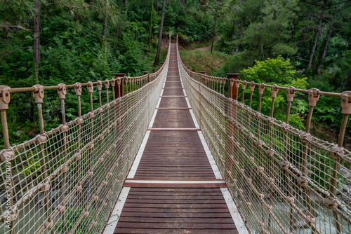 Dekoracja na wymiar  stary-most-prowadzacy-do-lasu