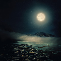 Wall Mural - sea