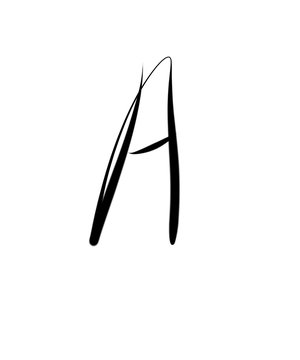 Expressive brush calligraphic handwritten script letters A