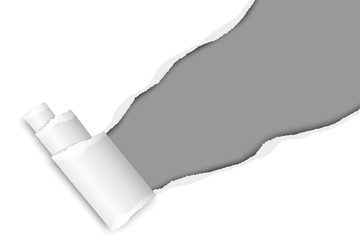 Wall Mural - Diagonally snatched middle of white paper from upper right corner to lower left with torn edges, shadows, paper curl and gray background of resulting hole. Vector template paper design.