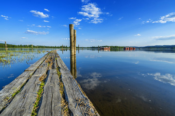 Wall Mural - Wooden path at lake