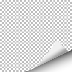 Wall Mural - Vector sheet of paper with curled right corner from the bottom and soft shadow. Element with space for text and ad. Template paper design. Vector illustration.