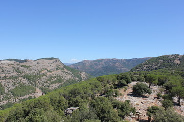 Wild Sardinia landscape with forest and mountains - italy