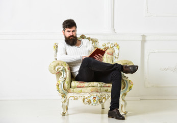 Leinwandbilder - Man with beard and mustache sits on armchair and reading book, white wall background. Macho smart spends leisure with book. Scientist, professor on serious face explores literature. Knowledge concept.