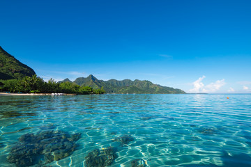 Wall Mural - Moorea seascape with shallow lagoon water of tropical vacation destination.