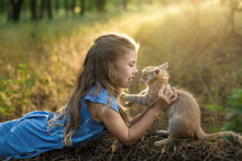Little Pretty Girl Plays With A Kitten In The Forest