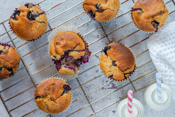 Sticker - Homemade blueberry and lemon muffins - top view